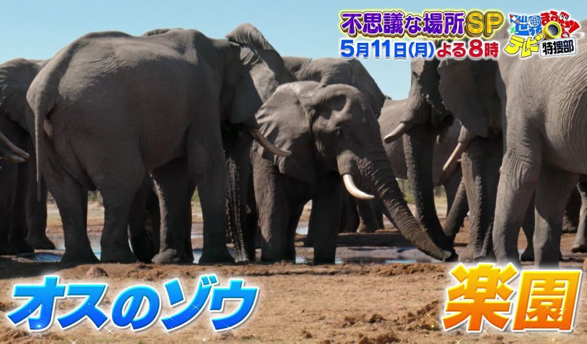 【世界まる見え】5月11日(月)よる8時　まだまだあった！世界の不思議な場所SP