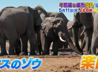 【世界まる見え】5月11日(月)よる8時　まだまだあった！世界の不思議な場所SP