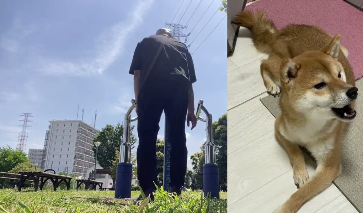 【孤独の56歳】柴犬飼い主　やばい！