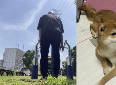 【孤独の56歳】柴犬飼い主　やばい！