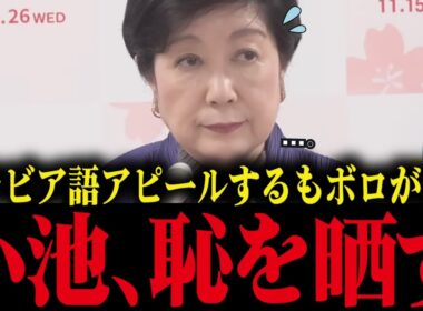 【小池百合子】SNSでアラビア語アピールするも、ボロが出て即削除！大恥をかく小池【小池都知事/都議会/カイロ大学/学歴詐称疑惑】