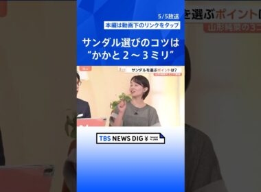 暑さ前倒しで注目“サンダル”歩いた衝撃を約50％軽減する「リカバリーサンダル」も登場　雨でもサンダル…はOK？【Nスタ解説】｜TBS NEWS DIG #shorts