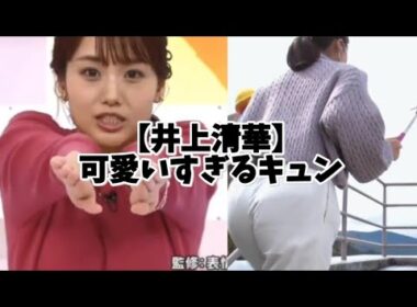 女子アナ【井上清華】可愛いすぎるキュン