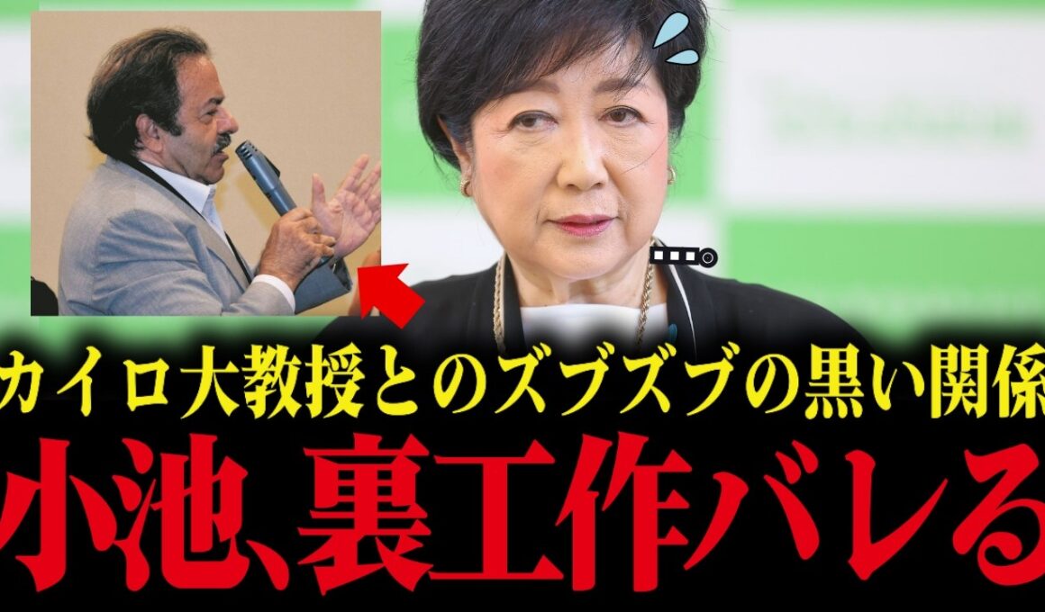【小池百合子】※大至急見てください...小池都知事とカイロ大学名誉教授の"ズブズブ関係"が発覚...とんでもないです【小池都知事/都議会/カイロ大学/学歴詐称疑惑】