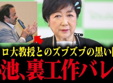 【小池百合子】※大至急見てください...小池都知事とカイロ大学名誉教授の"ズブズブ関係"が発覚...とんでもないです【小池都知事/都議会/カイロ大学/学歴詐称疑惑】