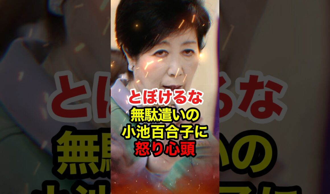㊗️90万再生!!【小池百合子】プロジェクションマッピングに48億円使用 入札資料の公開は不可 #小池百合子 #東京都知事 #政治 #shorts
