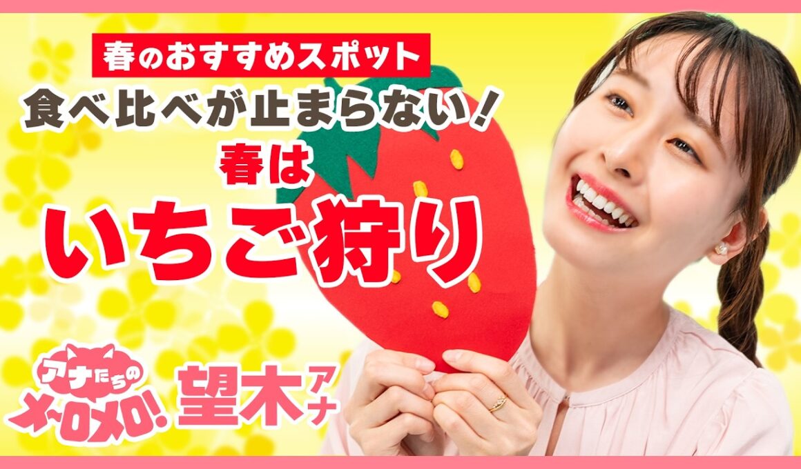 昨年71個食べた望木アナ、今年のいちご狩りは！？🍓【アナメロ】