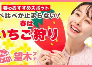 昨年71個食べた望木アナ、今年のいちご狩りは！？🍓【アナメロ】
