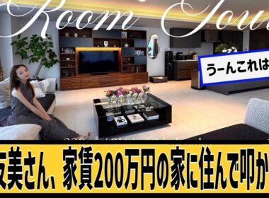板野友美に対するネット民の反応#2ch#5ch#なんｊ#なんＧ