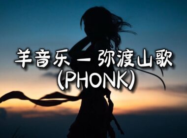 羊音乐 - 弥渡山歌 (PHONK)『蜜蜂本为采花死，梁山伯为祝英台。』【动态歌词MV】