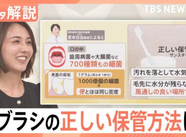 その歯ブラシ、大丈夫？歯垢1gに1000億個の細菌が…風呂場はNG？プロが教える意外な“落とし穴”【Nスタ解説】｜TBS NEWS DIG