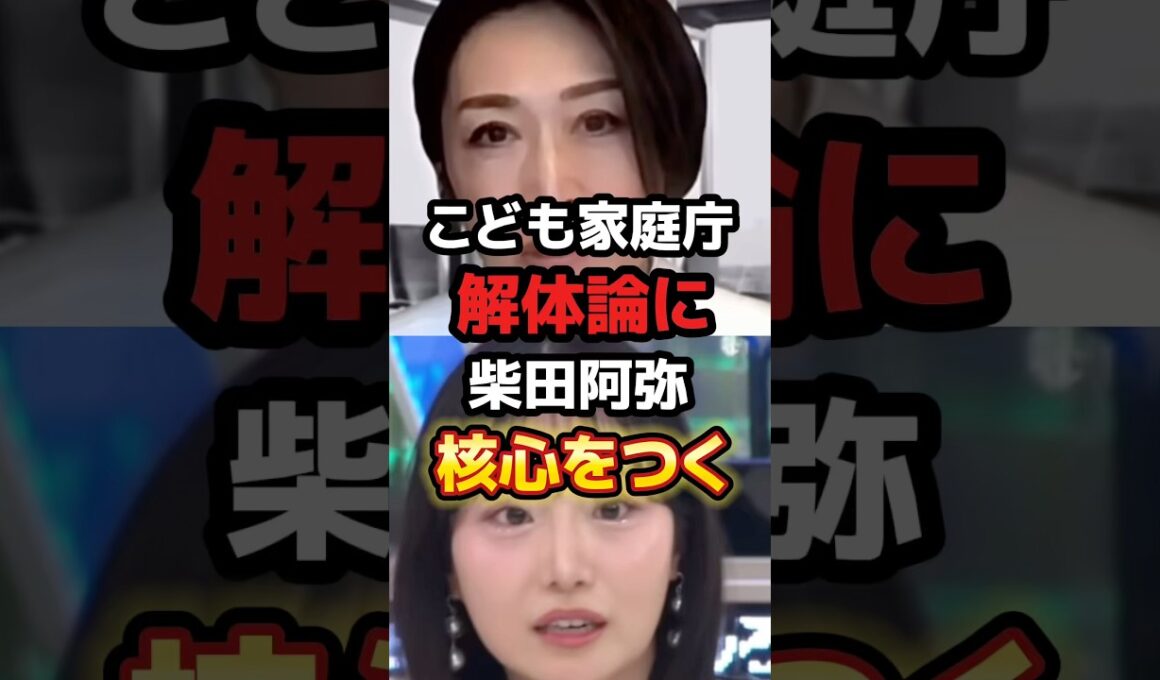核心をつく柴田阿弥がさすがすぎる【こども家庭庁】　#政治 #自民党 #こども家庭庁　#shorts