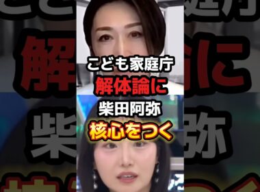核心をつく柴田阿弥がさすがすぎる【こども家庭庁】　#政治 #自民党 #こども家庭庁　#shorts