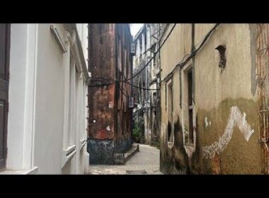 フレディの魂が息づくザンジバル――光と影を巡る宇賀なつみの感動旅