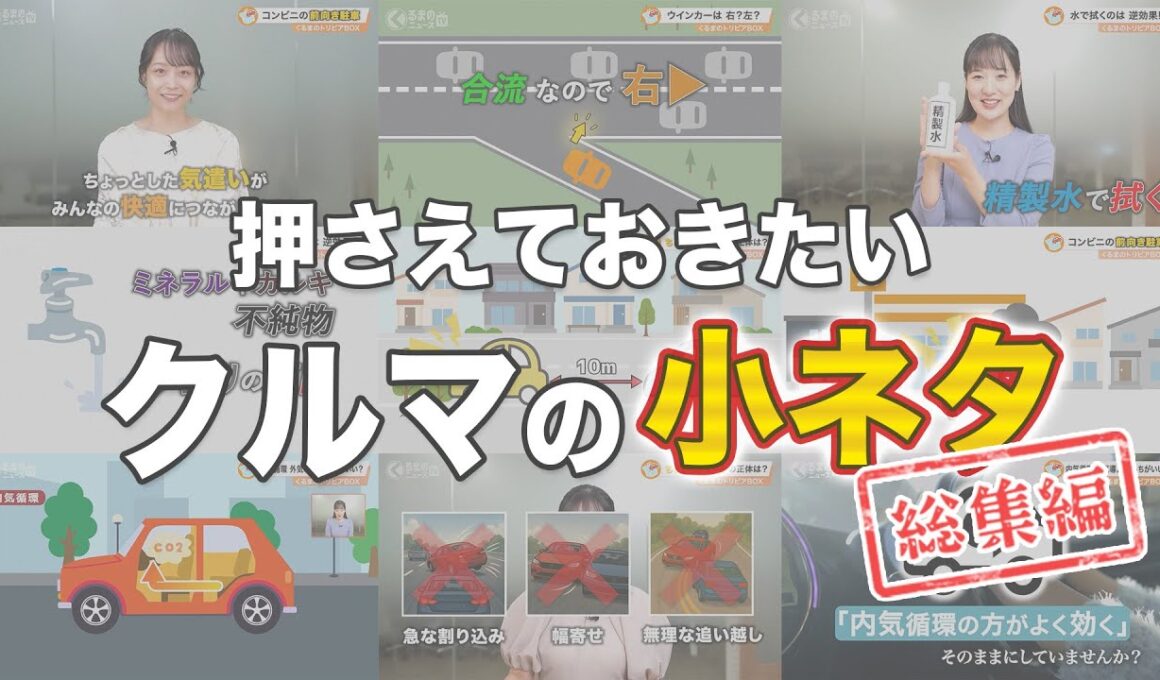 【知らないと損】コンビニ前向き駐車の理由／ウインカー迷う瞬間／謎マークの正体…くるまのトリビアBOX総集編| くるまのニュースTV