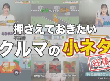【知らないと損】コンビニ前向き駐車の理由／ウインカー迷う瞬間／謎マークの正体…くるまのトリビアBOX総集編| くるまのニュースTV