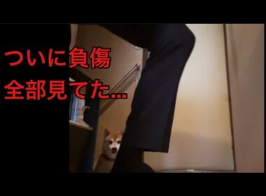 【孤独の56歳】    逆立ち41日目、足クラッシュで強制終了