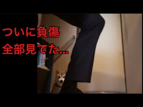 【孤独の56歳】    逆立ち41日目、足クラッシュで強制終了
