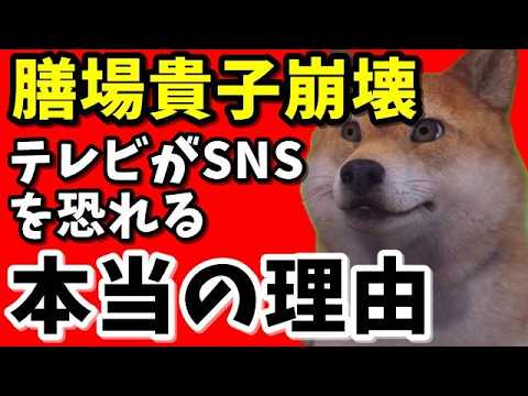 【TBSサンモニ】膳場貴子氏が堪らず本音を吐露...テレビがSNSを恐れる本当の理由
