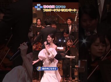 🟠期間限定 【柏木由紀】AKB48「桜の木になろう」を熱唱🎶　#shorts