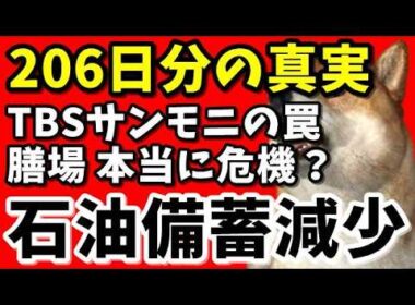【TBSサンモニ】膳場貴子氏の違和感…206日分が示す“本当の意味”