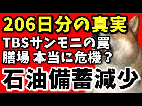 【TBSサンモニ】膳場貴子氏の違和感…206日分が示す“本当の意味”