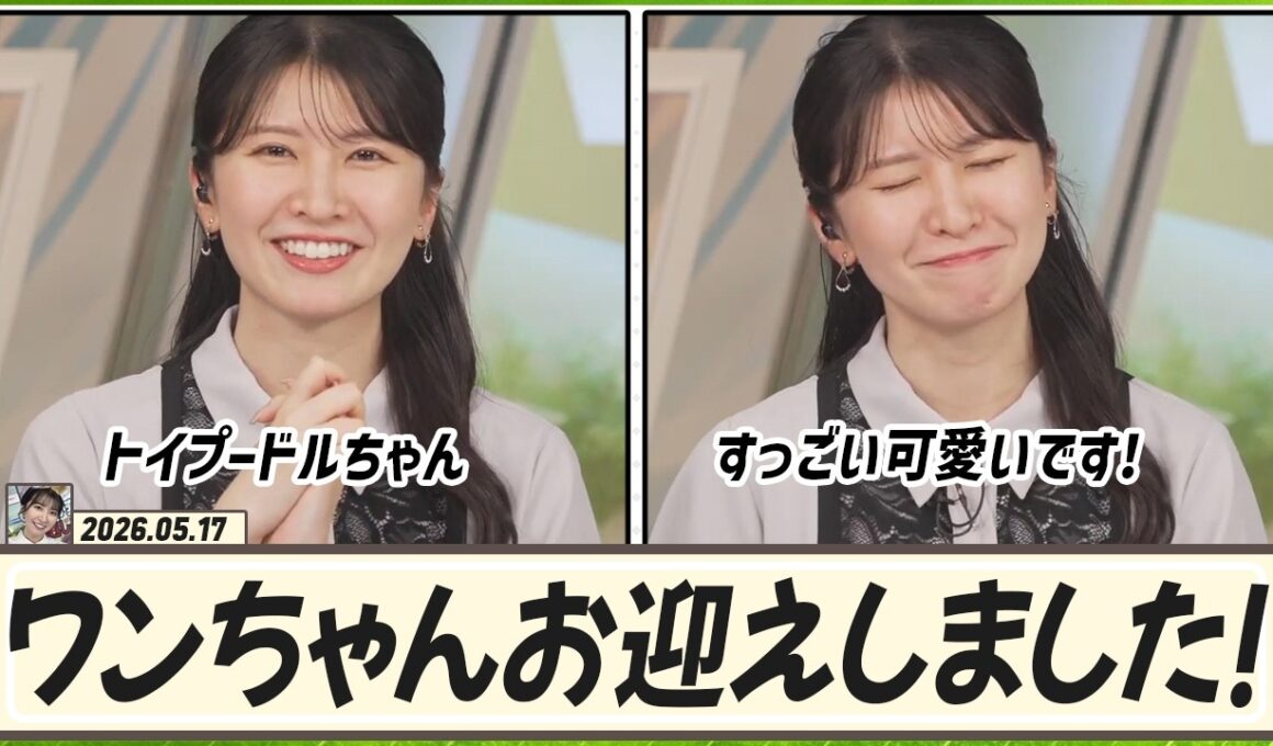 【駒木結衣】 この春、ワンちゃんをお迎えしました！トイプードルちゃんなんですけれど、すっごい可愛いです