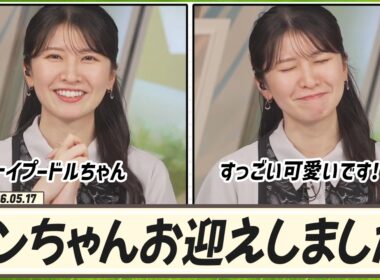 【駒木結衣】 この春、ワンちゃんをお迎えしました！トイプードルちゃんなんですけれど、すっごい可愛いです