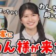 【駒木結衣・山岸愛梨】初出し情報！駒木家に「わん様」をお迎えしたことを報告してくれる結衣ちゃん【ウェザーニュース切り抜き】