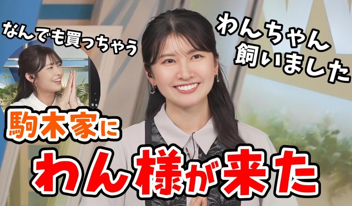【駒木結衣・山岸愛梨】初出し情報！駒木家に「わん様」をお迎えしたことを報告してくれる結衣ちゃん【ウェザーニュース切り抜き】