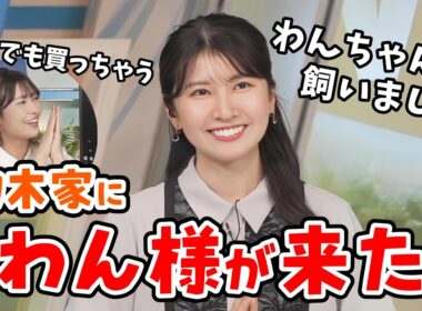 【駒木結衣・山岸愛梨】初出し情報！駒木家に「わん様」をお迎えしたことを報告してくれる結衣ちゃん【ウェザーニュース切り抜き】