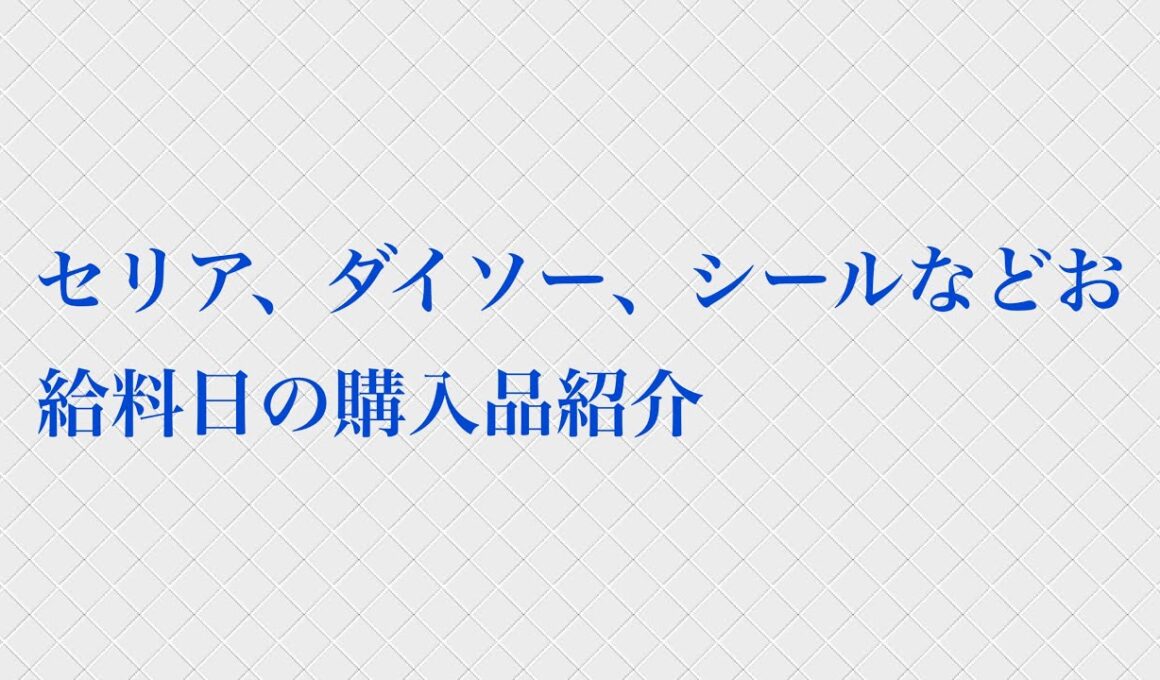 セリア、ダイソー、シールなどお給料日の購入品紹介