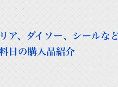 セリア、ダイソー、シールなどお給料日の購入品紹介