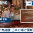 イカ高騰　日本の海で何が【日経モープラFT】
