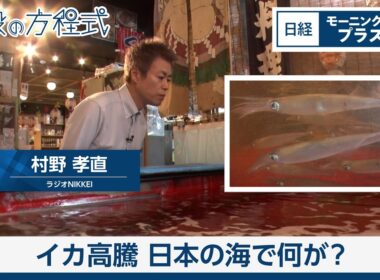 イカ高騰　日本の海で何が【日経モープラFT】