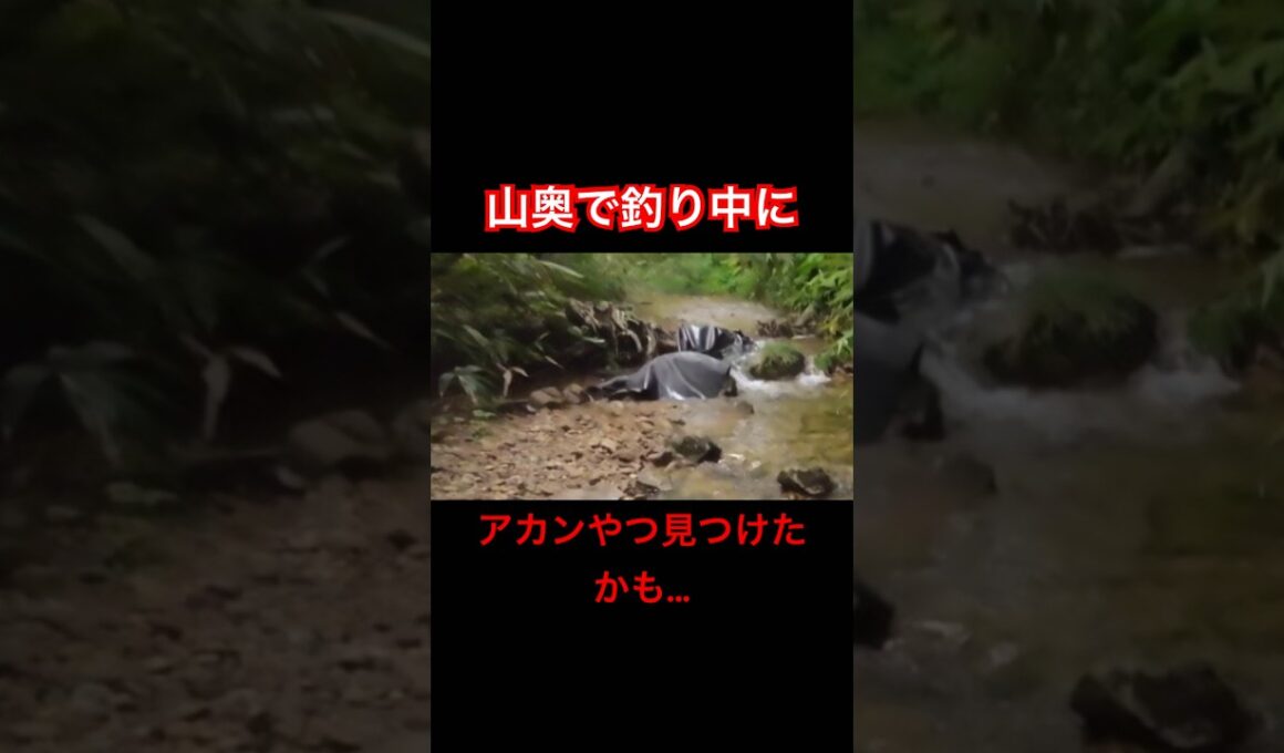 山奥で釣り中に、アカンやつ見つけたかも...#shorts#渓流釣り#渓流ルアー