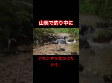 山奥で釣り中に、アカンやつ見つけたかも...#shorts#渓流釣り#渓流ルアー