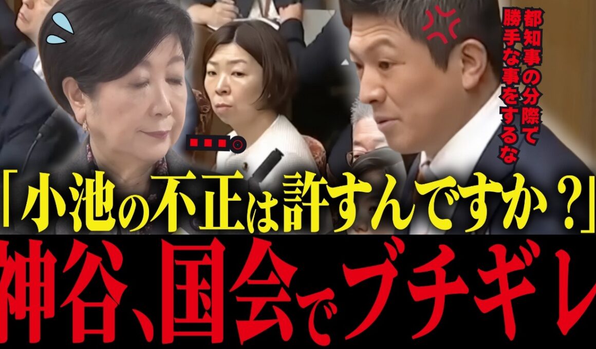 ※小池、国会で神谷に本性を晒され撃沈…逃げ場なしの小池百合子【神谷宗幣 小池都知事 カイロ大学 学歴詐称疑惑】