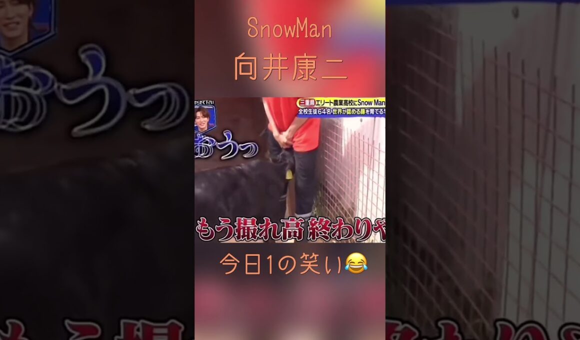 今日1の笑い😂#snowman #向井康二 #shortvideo