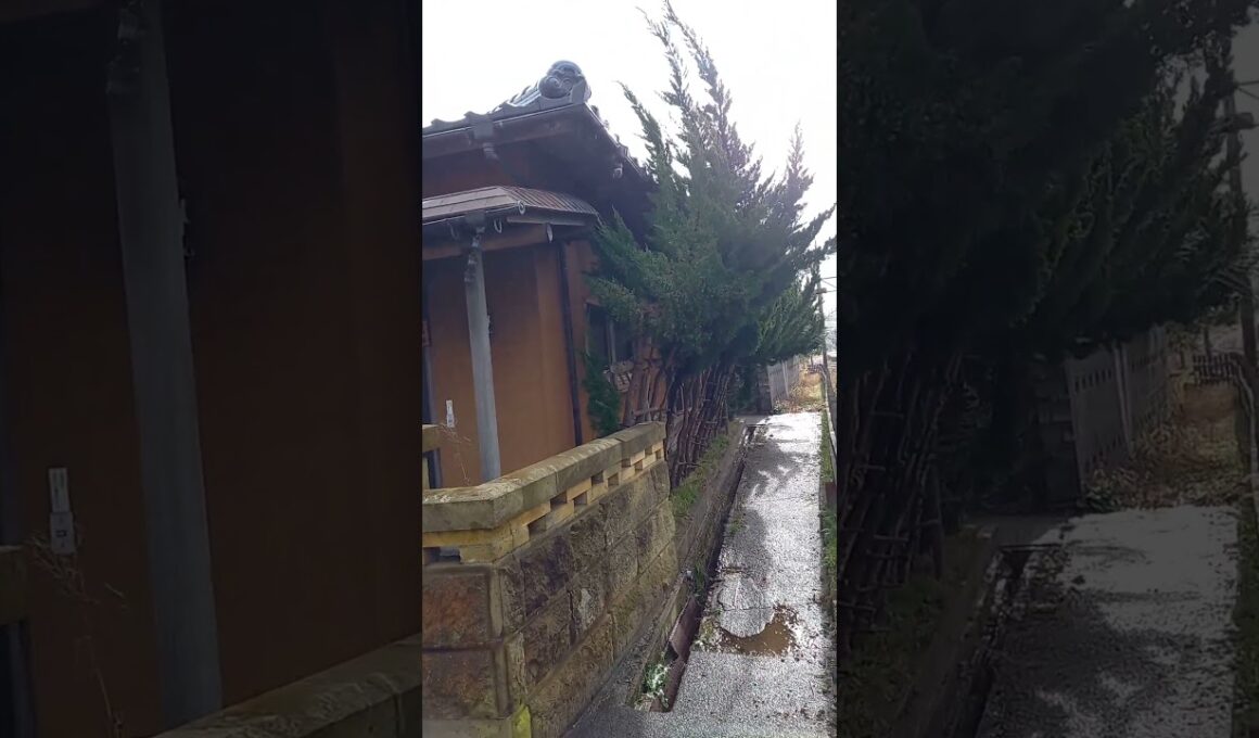 大丈夫か⁉️強風に煽られる十年以上空き家のまんまの家🏠️(石川県かほく市・JR七尾線高松駅前)