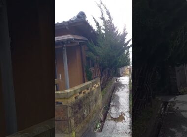 大丈夫か⁉️強風に煽られる十年以上空き家のまんまの家🏠️(石川県かほく市・JR七尾線高松駅前)