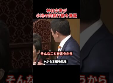 【小池百合子】国会で神谷に本性を晒され撃沈…逃げ場なしの小池百合子【神谷宗幣 小池都知事 カイロ大学 学歴詐称疑惑】