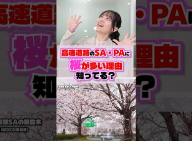 【1分解説】なぜ？SA・PAに「桜」が多い理由  #お花見 #満開 #ドライブ #雑学
