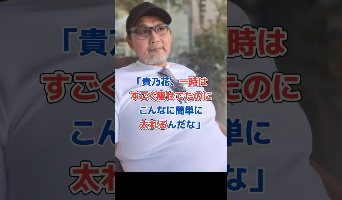 貴乃花、再婚して幸せ太 り⁉︎#shorts