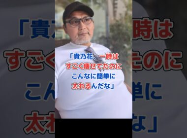 貴乃花、再婚して幸せ太 り⁉︎#shorts