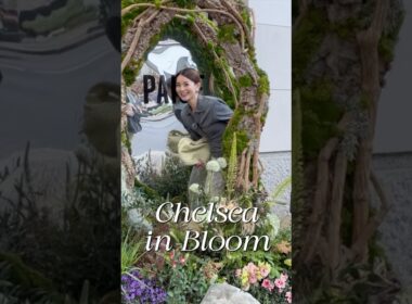 ロンドンの初夏が最高すぎ☀️    　　花と寿司とピクニック