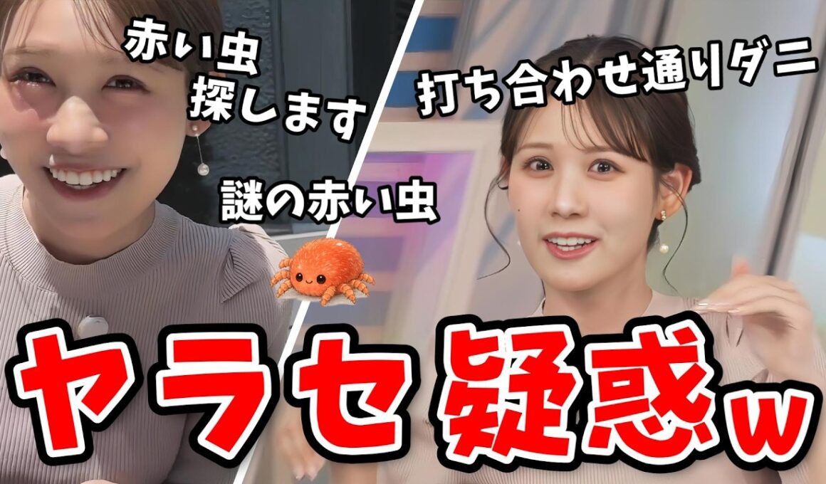 【戸北美月】謎の赤い虫探しの外ロケに行ったらヤラセ動画みたくなっちゃったみーちゃん！タカラダニ【ウェザーニュース切り抜き】