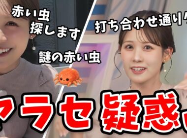 【戸北美月】謎の赤い虫探しの外ロケに行ったらヤラセ動画みたくなっちゃったみーちゃん！タカラダニ【ウェザーニュース切り抜き】