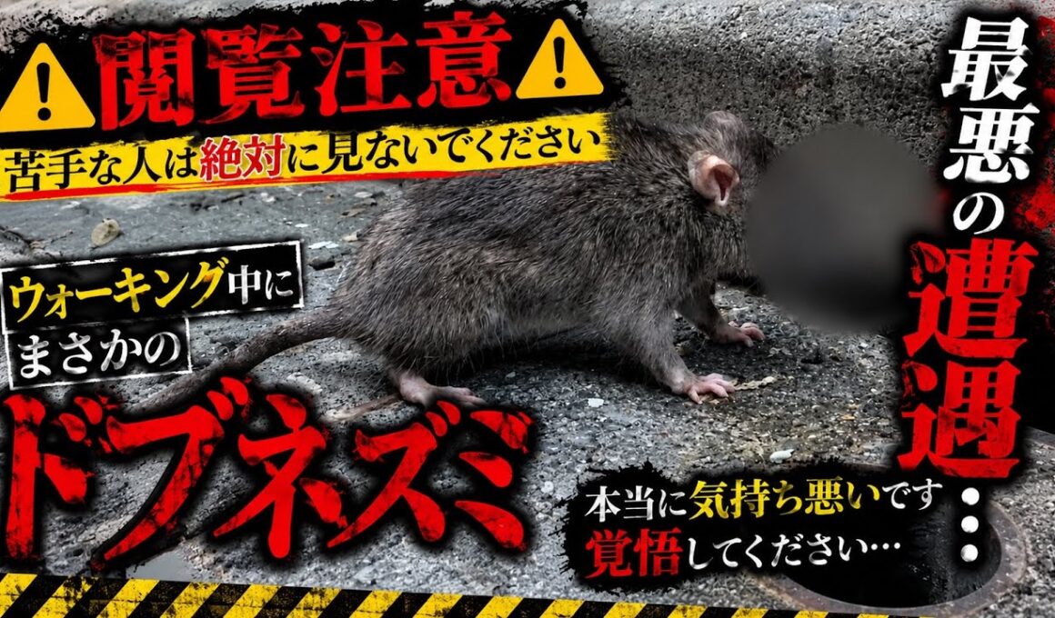 【孤独の56歳】    【警告】本当に苦手な人は見ないでください