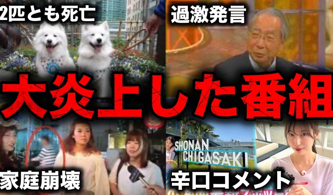 衝撃的な大炎上を起こしたテレビ番組8選